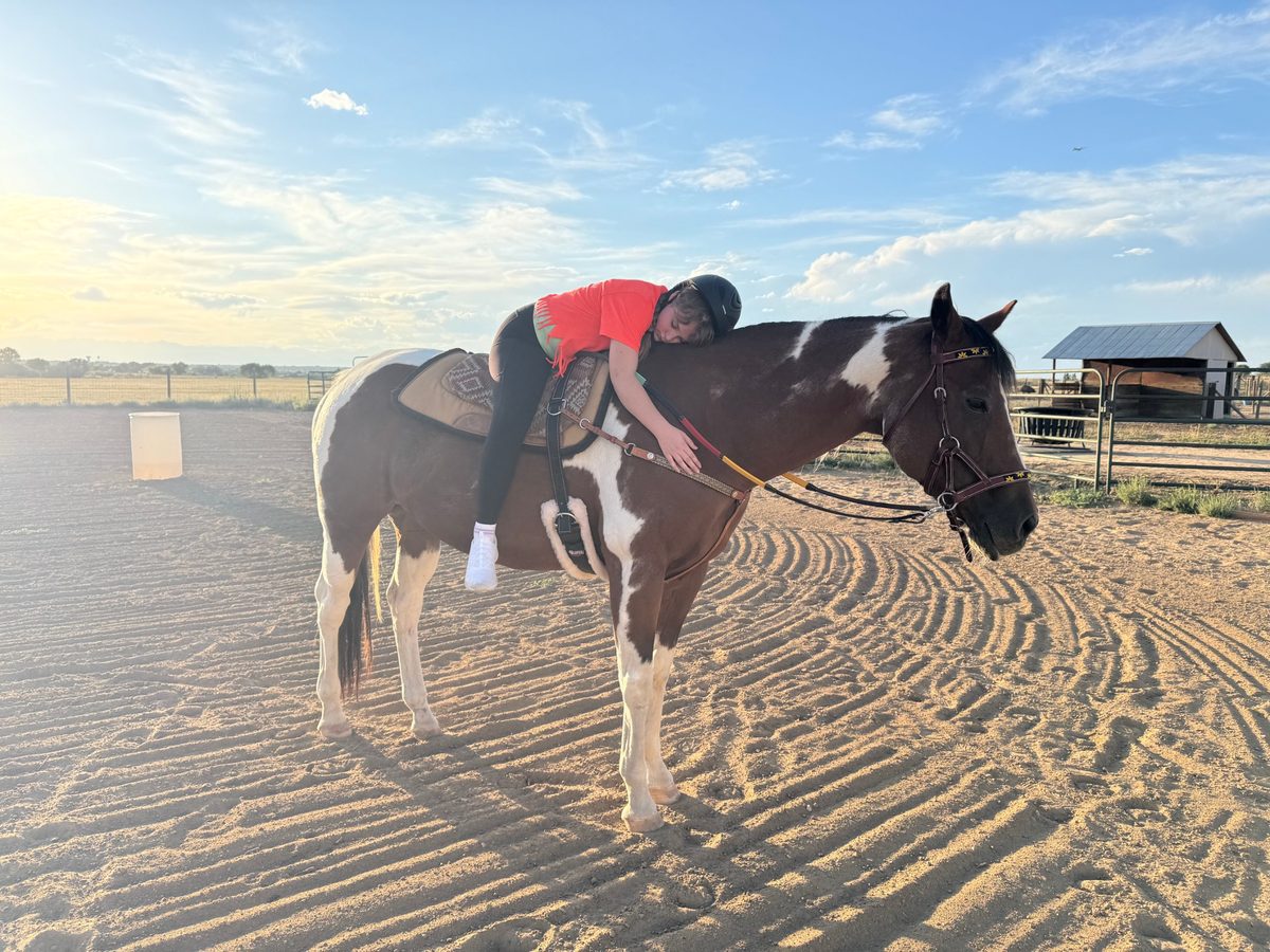 A young rider lying forward to hug Bourbon's neck in the arena at sunset