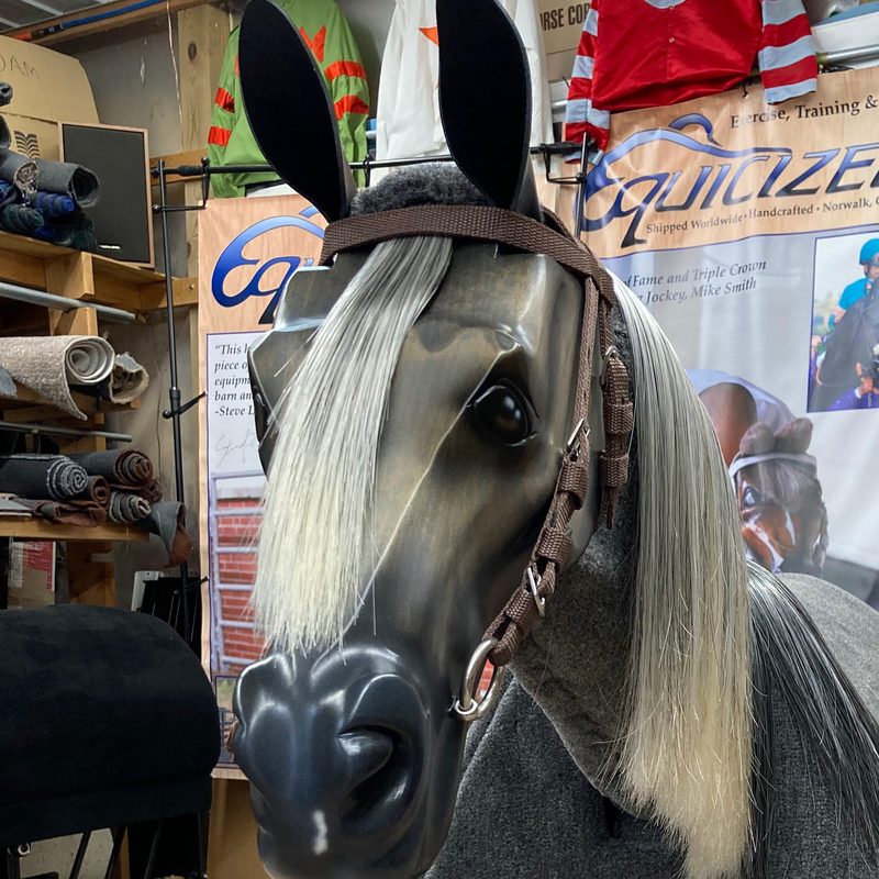 Maggie the Equicizer, a gray practice horse with a flowing white mane and a brown halter